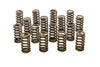 PAC Racing PAC-1218-16 Valve Springs, for LS Gen III/IV engines, Ovate Beehive, single spring, 1.290” OD, up to .600” valve lift, sold as a set of 16