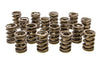 PAC Racing PAC-1924-16 Valve Springs, for Hot Rod applications, dual spring, 1.540” OD, up to 0.650” valve lift, sold as a set of 16